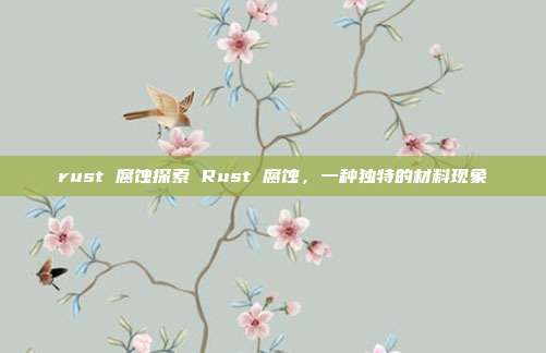 rust 腐蚀探索 Rust 腐蚀，一种独特的材料现象