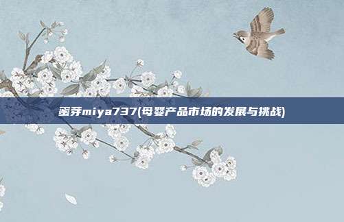 蜜芽miya737(母婴产品市场的发展与挑战)