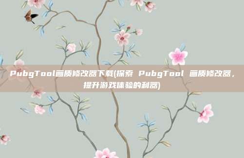 PubgTool画质修改器下载(探索 PubgTool 画质修改器，提升游戏体验的利器)