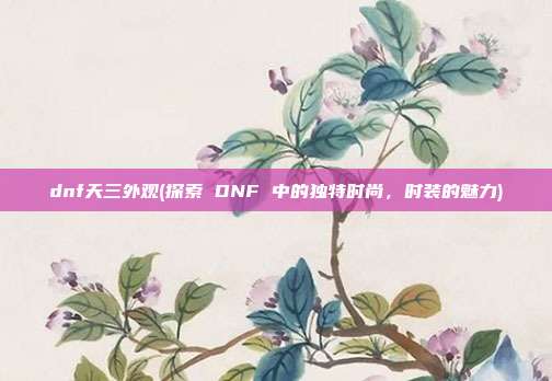 dnf天三外观(探索 DNF 中的独特时尚，时装的魅力)