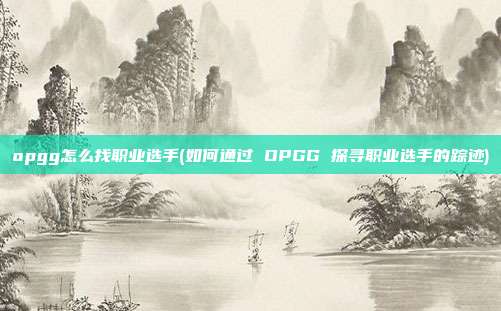 opgg怎么找职业选手(如何通过 OPGG 探寻职业选手的踪迹)