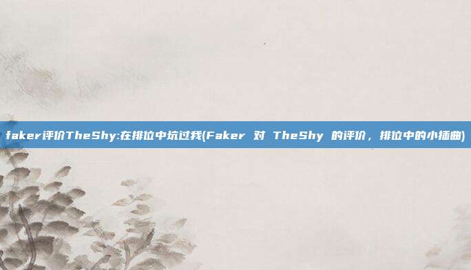 faker评价TheShy:在排位中坑过我(Faker 对 TheShy 的评价，排位中的小插曲)