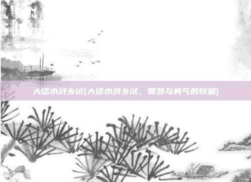 大话水浒乡试(大话水浒乡试，智慧与勇气的较量)