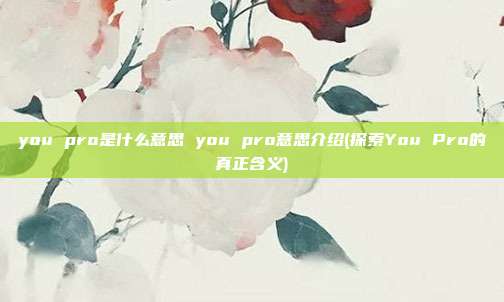 you pro是什么意思 you pro意思介绍(探索You Pro的真正含义)