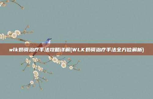 wlk奶骑治疗手法攻略详解(WLK奶骑治疗手法全方位解析)