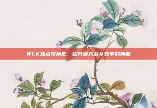 WLK焦点嫁祸宏，提升游戏战斗效率的神器