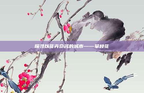 探寻以花卉命名的城市——攀枝花