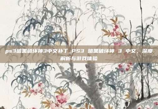 ps3暗黑破坏神3中文补丁_PS3 暗黑破坏神 3 中文，深度解析与游戏体验